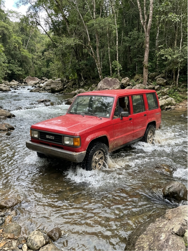 Repuestos y accesorios para vehículos Isuzu